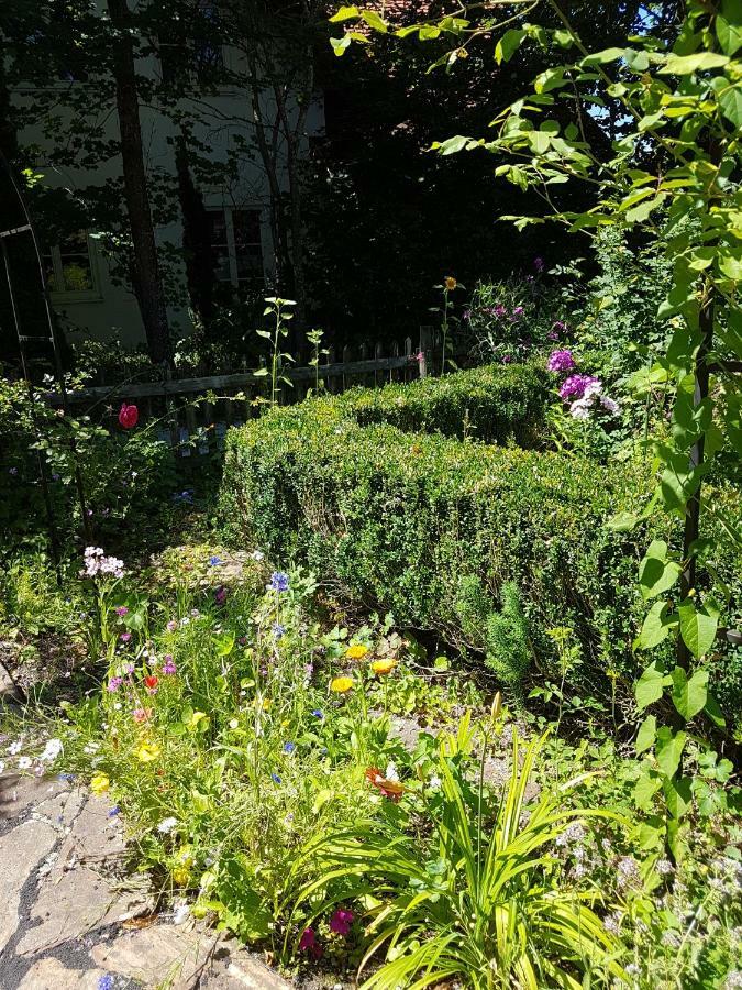 Martina'S Place Rottenbuch Dış mekan fotoğraf